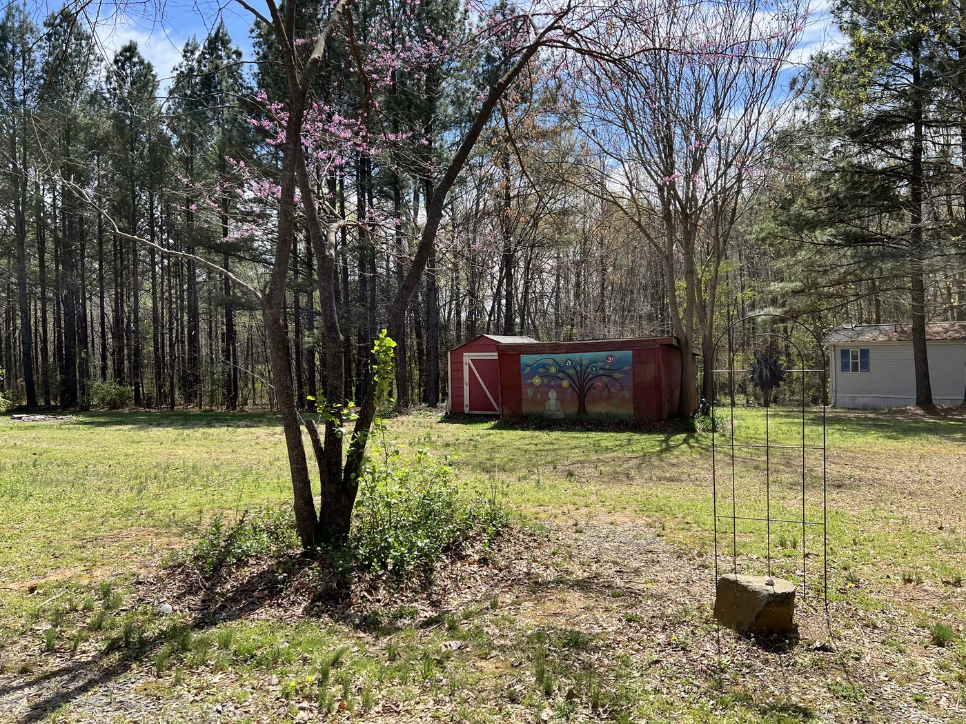The Sacred Grove grounds with the painted shed and spring trees